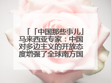 「中国那些事儿」马来西亚专家：中国对多边主义的开放态度增强了全球南方国家的力量