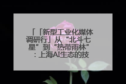 「新型工业化媒体调研行」从“北斗七星”到“热带雨林”：上海AI生态的技术商业共生密码
