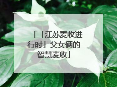 「江苏麦收进行时」父女俩的智慧麦收