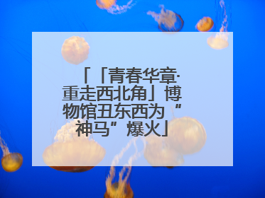 「青春华章·重走西北角」博物馆丑东西为“神马”爆火