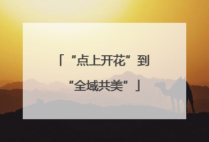 “点上开花”到“全域共美”