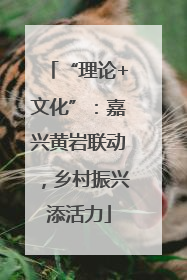 “理论+文化”：嘉兴黄岩联动，乡村振兴添活力