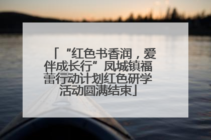 “红色书香润，爱伴成长行”凤城镇福蕾行动计划红色研学活动圆满结束