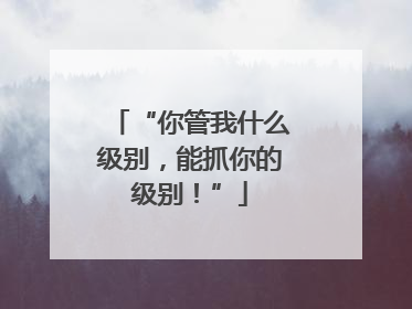 “你管我什么级别，能抓你的级别！”