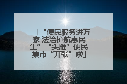 “便民服务进万家 法治护航惠民生”“头雁”便民集市“开张”啦