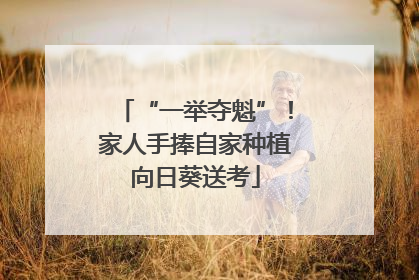 “一举夺魁”！家人手捧自家种植向日葵送考