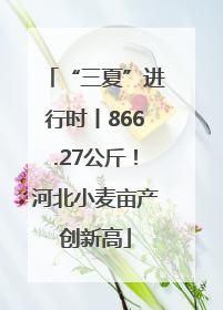 “三夏”进行时丨866.27公斤！河北小麦亩产创新高