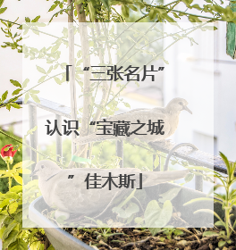 “三张名片”认识“宝藏之城”佳木斯