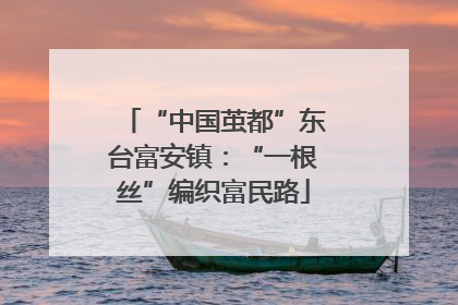 “中国茧都”东台富安镇：“一根丝”编织富民路