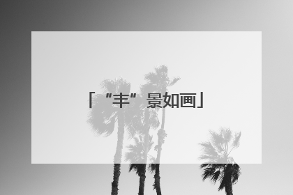“丰”景如画