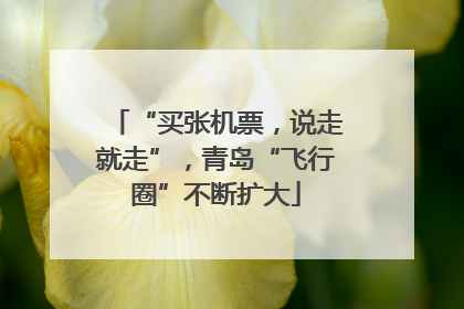 “买张机票，说走就走”，青岛“飞行圈”不断扩大