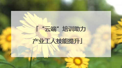 “云端”培训助力产业工人技能提升