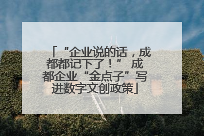 “企业说的话，成都都记下了！” 成都企业“金点子”写进数字文创政策