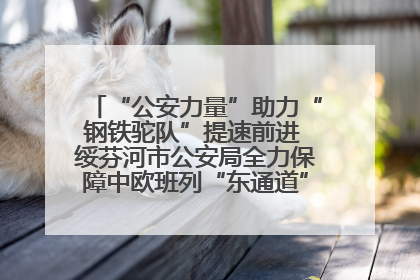 “公安力量”助力“钢铁驼队”提速前进 绥芬河市公安局全力保障中欧班列“东通道”绥芬河隧道贯通