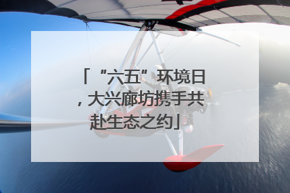 “六五”环境日，大兴廊坊携手共赴生态之约