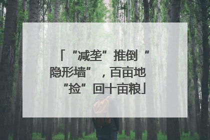 “减垄”推倒“隐形墙”，百亩地“捡”回十亩粮
