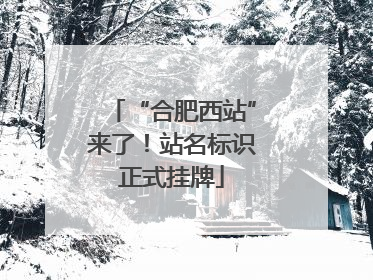 “合肥西站”来了！站名标识正式挂牌