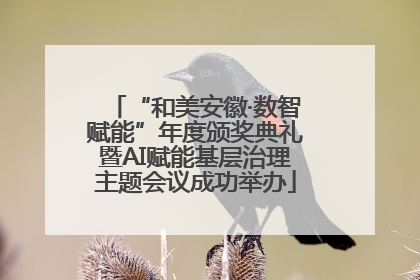 “和美安徽·数智赋能”年度颁奖典礼暨AI赋能基层治理主题会议成功举办