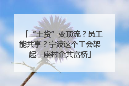 “土货”变顶流？员工能共享？宁波这个工会架起一座村企共富桥