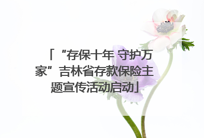 “存保十年 守护万家”吉林省存款保险主题宣传活动启动