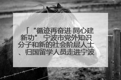 “循迹再奋进 同心建新功” 宁波市党外知识分子和新的社会阶层人士、归国留学人员走进宁波舟山港穿山港区
