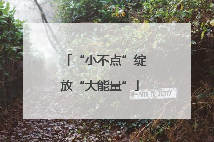 “小不点”绽放“大能量”