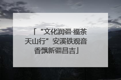 “文化润疆·福茶天山行”安溪铁观音香飘新疆昌吉