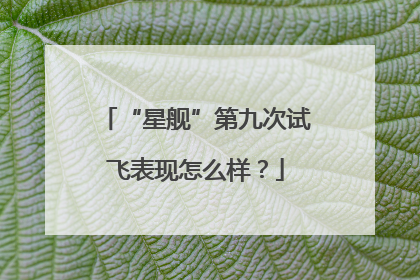 “星舰”第九次试飞表现怎么样？