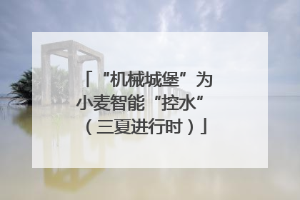 “机械城堡”为小麦智能“控水”（三夏进行时）