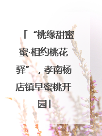 “桃缘甜蜜蜜·相约桃花驿”，孝南杨店镇早蜜桃开园