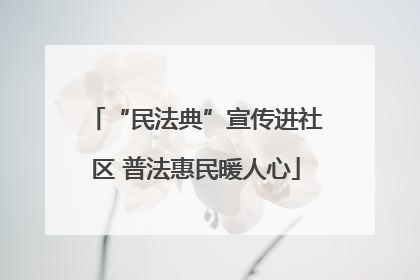 “民法典”宣传进社区 普法惠民暖人心