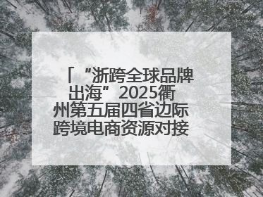 “浙跨全球品牌出海”2025衢州第五届四省边际跨境电商资源对接活动成功举办