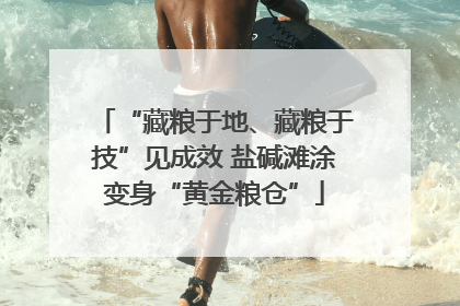 “藏粮于地、藏粮于技”见成效 盐碱滩涂变身“黄金粮仓”