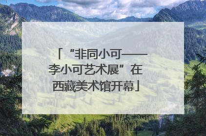 “非同小可——李小可艺术展”在西藏美术馆开幕