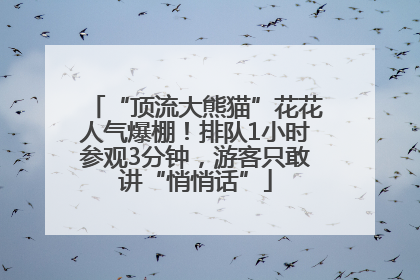 “顶流大熊猫”花花人气爆棚！排队1小时参观3分钟，游客只敢讲“悄悄话”