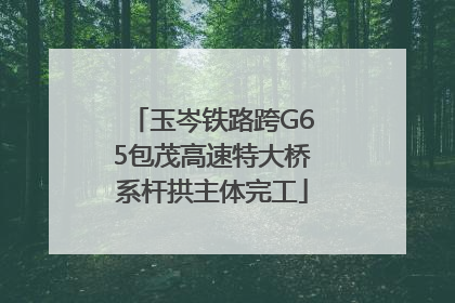 玉岑铁路跨G65包茂高速特大桥系杆拱主体完工
