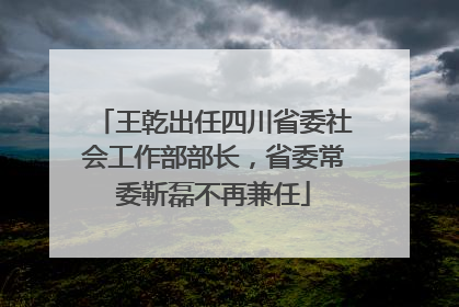 王乾出任四川省委社会工作部部长，省委常委靳磊不再兼任