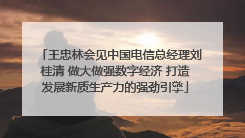王忠林会见中国电信总经理刘桂清 做大做强数字经济 打造发展新质生产力的强劲引擎
