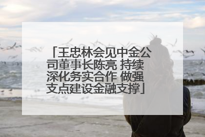 王忠林会见中金公司董事长陈亮 持续深化务实合作 做强支点建设金融支撑