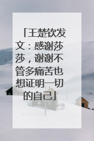 王楚钦发文：感谢莎莎，谢谢不管多痛苦也想证明一切的自己