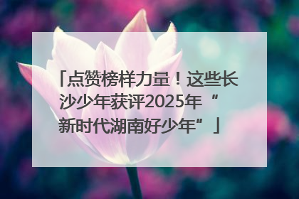 点赞榜样力量！这些长沙少年获评2025年“新时代湖南好少年”