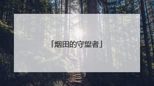 烟田的守望者