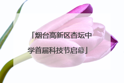 烟台高新区杏坛中学首届科技节启幕
