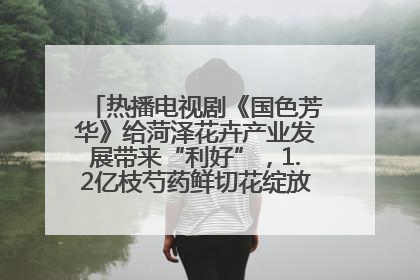热播电视剧《国色芳华》给菏泽花卉产业发展带来“利好”，1.2亿枝芍药鲜切花绽放“国色芳华”
