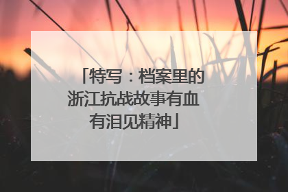 特写：档案里的浙江抗战故事有血有泪见精神