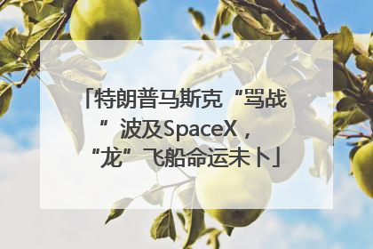 特朗普马斯克“骂战”波及SpaceX，“龙”飞船命运未卜