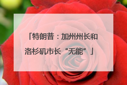 特朗普：加州州长和洛杉矶市长“无能”