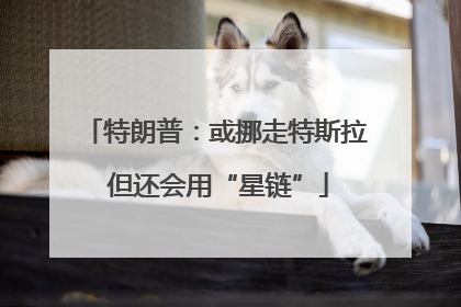 特朗普：或挪走特斯拉 但还会用“星链”