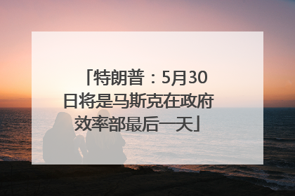 特朗普：5月30日将是马斯克在政府效率部最后一天