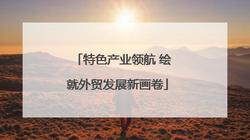特色产业领航 绘就外贸发展新画卷